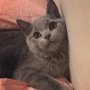 Meet your Posher, Jessica